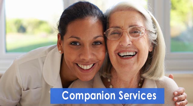 companion services